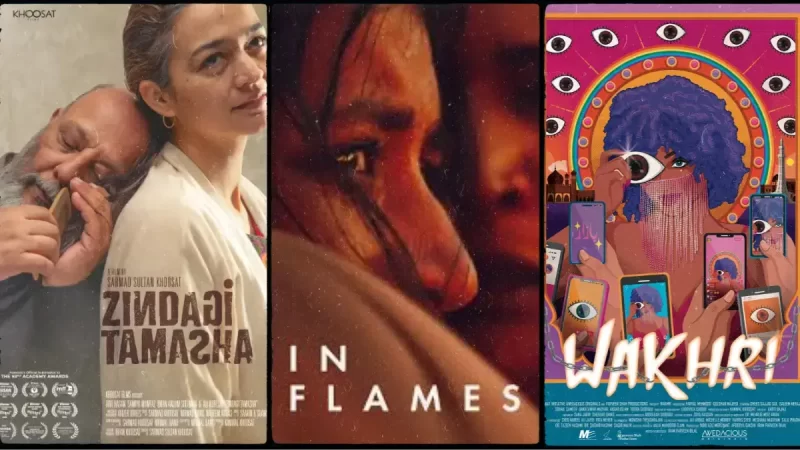 Best Pakistani Movies on Netflix